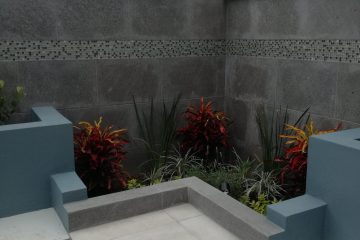 26952431_1517055445060131_1192807222104502056_o